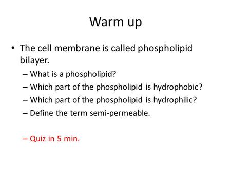Warm up The cell membrane is called phospholipid bilayer. – What is a phospholipid? – Which part of the phospholipid is hydrophobic? – Which part of the.