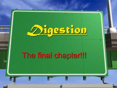 Digestion The final chapter!!! The Small Intestine »Is about 6 meters long! »Most chemical digestion and the absorption of nutrients take place here.