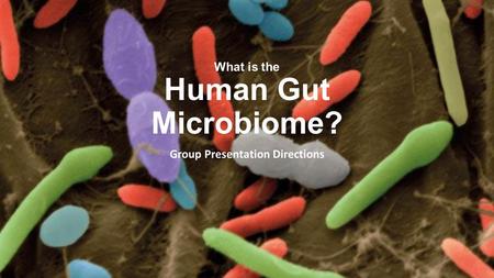 What is the Human Gut Microbiome? Group Presentation Directions.