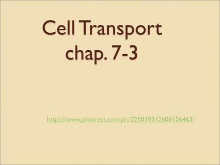 Cell Transport chap. 7-3 https://www.pinterest.com/pin/225039312606126463/