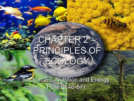 CHAPTER 2 – PRINCIPLES OF ECOLOGY Section 2-2: Nutrition and Energy Flow (p.46-57)