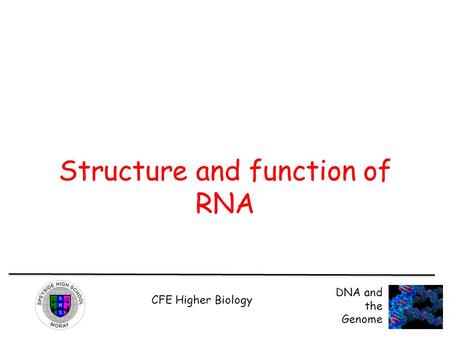 CFE Higher Biology DNA and the Genome Structure and function of RNA.