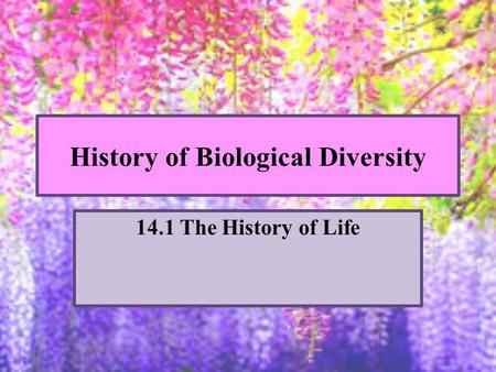 History of Biological Diversity 14.1 The History of Life.