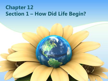 Chapter 12 Section 1 – How Did Life Begin?