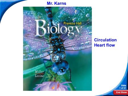 End Show Slide 1 of 51 Biology Mr. Karns Circulation Heart flow.