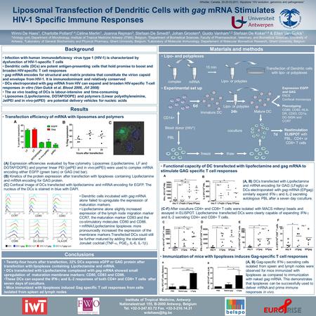 Liposomal Transfection of Dendritic Cells with gag mRNA Stimulates HIV-1 Specific Immune Responses Winni De Haes 1, Charlotte Pollard 1,4,Céline Merlin.