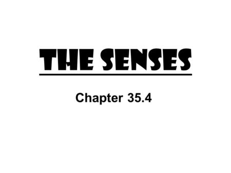 The Senses Chapter 35.4.