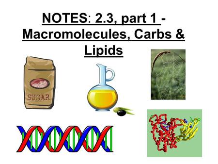 NOTES: 2.3, part 1 - Macromolecules, Carbs & Lipids.