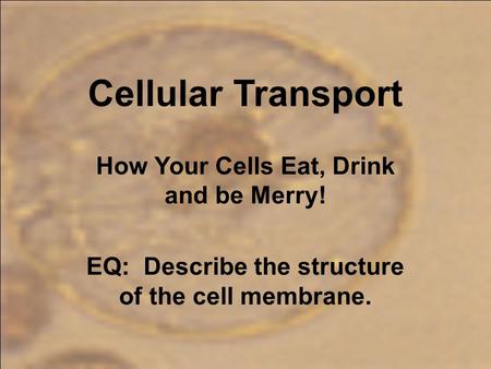 Cellular Transport How Your Cells Eat, Drink and be Merry! EQ: Describe the structure of the cell membrane.