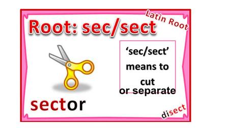 Or separate. 1. Bisect (v) – to cut into two pieces.