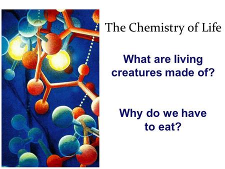 What are living creatures made of?