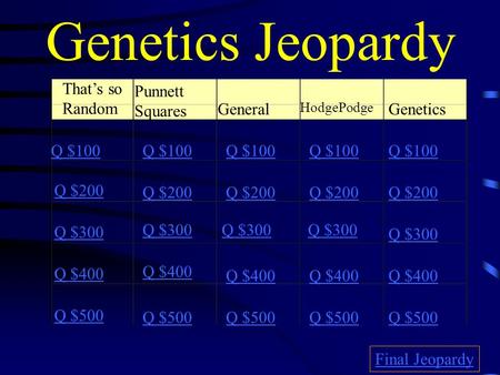 Genetics Jeopardy That’s so Random Punnett Squares General HodgePodge Genetics Q $100 Q $200 Q $300 Q $400 Q $500 Q $100 Q $200 Q $300 Q $400 Q $500 Final.