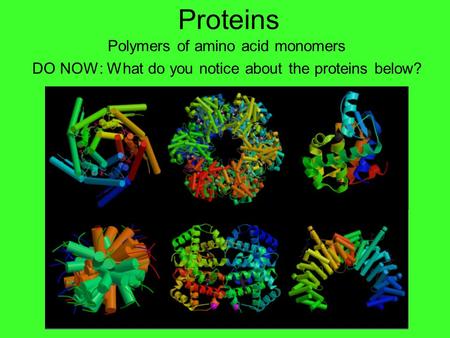 Proteins Polymers of amino acid monomers DO NOW: What do you notice about the proteins below?
