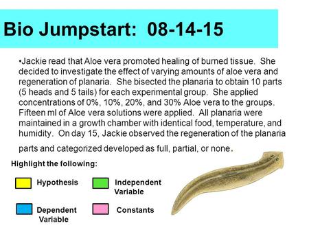 Bio Jumpstart: 08-14-15 Jackie read that Aloe vera promoted healing of burned tissue. She decided to investigate the effect of varying amounts of aloe.