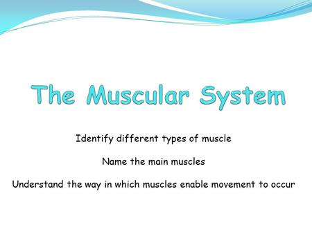 Identify different types of muscle Name the main muscles Understand the way in which muscles enable movement to occur.