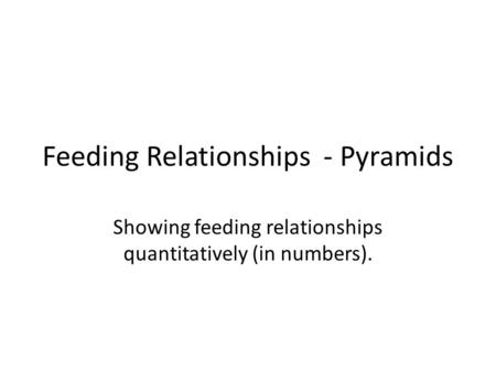 Feeding Relationships - Pyramids