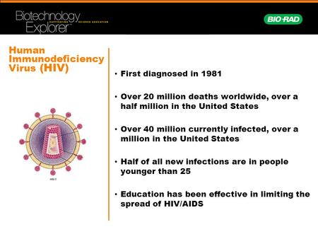 Human Immunodeficiency Virus (HIV) First diagnosed in 1981 Over 20 million deaths worldwide, over a half million in the United States Over 40 million currently.