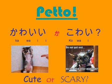 Petto! かわいい か こわい？ ka wa i i Ko wa i Cute or SCARY?