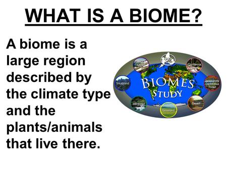 WHAT IS A BIOME? A biome is a large region described by the climate type and the plants/animals that live there.