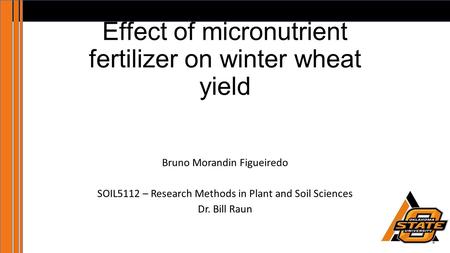 Effect of micronutrient fertilizer on winter wheat yield
