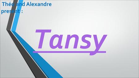 Tansy Théo and Alexandre present :. About her Her name is Tansy. She was born on 6 th November 1995; so she is 20 years old. She is English, she lives.