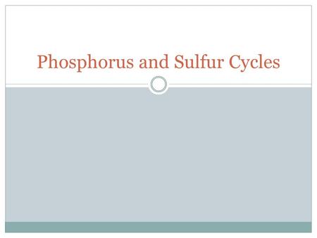 Phosphorus and Sulfur Cycles