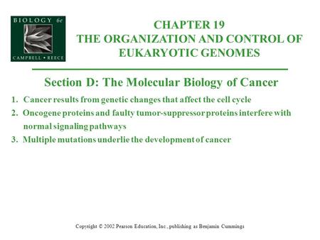 CHAPTER 19 THE ORGANIZATION AND CONTROL OF EUKARYOTIC GENOMES Copyright © 2002 Pearson Education, Inc., publishing as Benjamin Cummings Section D: The.