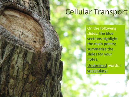 Cellular Transport On the following slides, the blue sections highlight the main points; summarize the slides for your notes. Underlined words = vocabulary!