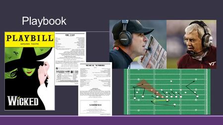 Playbook. Every company has a playbook in one form or another. A playbook contains the strategies, approaches, programs, actions, etc., – the ‘plays’