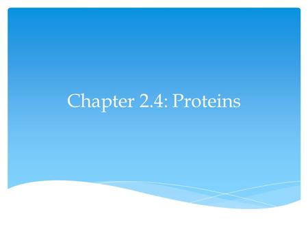 Chapter 2.4: Proteins.