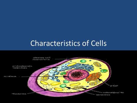 Characteristics of Cells. What are Cells Made of?