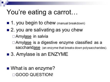 You’re eating a carrot… 1. you begin to chew (manual breakdown) 2. you are salivating as you chew  Amylase in salvia  Amylase is a digestive enzyme classified.