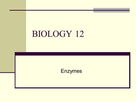 BIOLOGY 12 Enzymes.