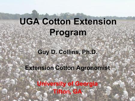 UGA Cotton Extension Program Guy D. Collins, Ph.D. Extension Cotton Agronomist University of Georgia Tifton, GA.