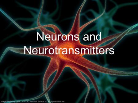 Neurons and Neurotransmitters. Copyright © The McGraw-Hill Companies, Inc. Permission required for reproduction or display. Central Nervous System (CNS)