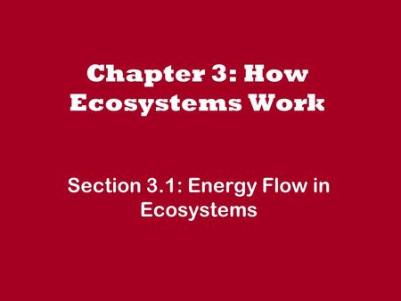 Chapter 3: How Ecosystems Work Section 3.1: Energy Flow in Ecosystems.