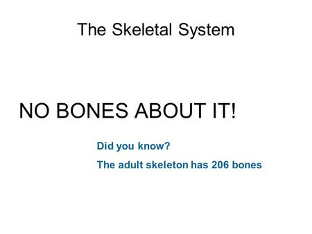 NO BONES ABOUT IT! The Skeletal System Did you know?