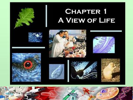 Ch.1 - The Study of Life Chapter 1 A View of Life.
