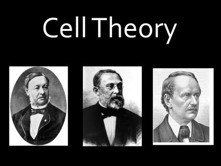 Cell Theory.  Play Video Play Video  Stop at 1:10.