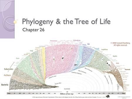 Phylogeny & the Tree of Life