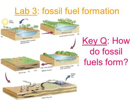 Lab 3: fossil fuel formation Key Q: How do fossil fuels form?
