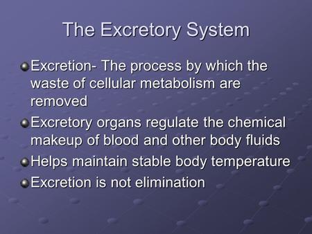 The Excretory System Excretion- The process by which the waste of cellular metabolism are removed Excretory organs regulate the chemical makeup of blood.