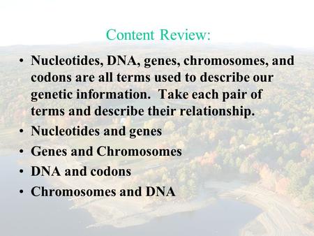 Content Review: Nucleotides, DNA, genes, chromosomes, and codons are all terms used to describe our genetic information. Take each pair of terms and describe.