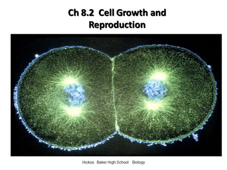 Ch 8.2 Cell Growth and Reproduction Hickox: Baker High School Biology.