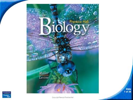 Slide 1 of 38 Copyright Pearson Prentice Hall Prentice Hall Biology.