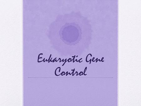 Eukaryotic Gene Control. Gene Organization: Chromatin: Complex of DNA and Proteins Structure base on DNA packing.