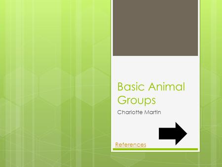 Basic Animal Groups Charlotte Martin References.