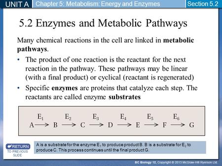 5.2 Enzymes and Metabolic Pathways Many chemical reactions in the cell are linked in metabolic pathways. The product of one reaction is the reactant for.