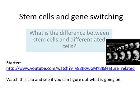 Stem cells and gene switching What is the difference between stem cells and differentiated cells? Starter: