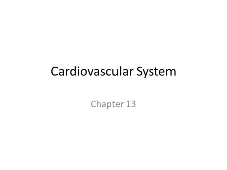 Cardiovascular System Chapter 13. Heart Anatomy Approximately the size of your fist Location: – Superior surface of the diaphragm – Left of the midline.